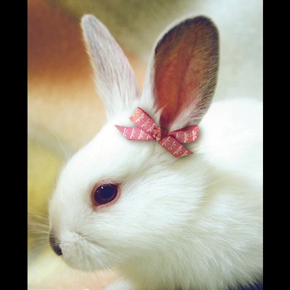 Bundle and Save ~~~ - Picture 1 of 1